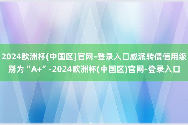 2024欧洲杯(中国区)官网-登录入口威派转债信用级别为“A+”-2024欧洲杯(中国区)官网-登录入口